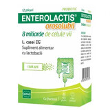 Enterolactis orosolubile, 12 buste, Sofar