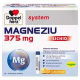 Liquid Magnesium System, 375 mg, 30 Fläschchen, Doppelherz (vegan)