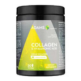 Kollagen HA Active Line Vanille Instant-Pulver, 600 g, Adams