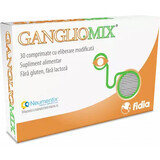 GanglioMix, 30 tabletten, Fidia