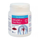 Drojdie de orez rosu, 90 capsule, Bio Synergie