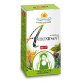 Antioxidant, 60 capsules, Fares