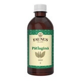 Sirop de patagine, 500 ml, Faunus