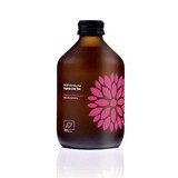 Kombucha Mango Passievrucht Biologische Thee, 330 ml, Vigo