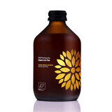 Kombucha Yerba Mate Bio-Tee, 330 ml, Vigo