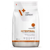 Cibo secco per gatti 4T Intestinal Cat, 2 Kg, VetExpert