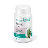 Rozemarijnextract, 30 capsules, Rotta Natura