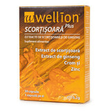 Estratto di cannella e ginseng Wellion, 30 capsule, Med Trust