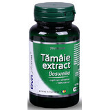 Extract de tămâie (Boswellia), 60 capsule, Dvr Pharm