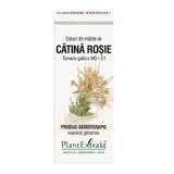 Extract van Rode Catena knoppen, Tamarix, 50 ml, Plantenextrakt