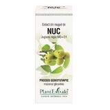 Extract din muguri de Nuc, 50 ml, Plant Extrakt