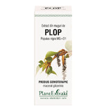 Populierknop extract, 50 ml, Plantenextrakt