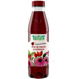 Sirop cu macese si echinacea, 500 ml, Plafar