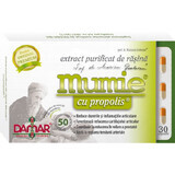 Gezuiverd momiehars extract met propolis, 30 capsules, Damar General Trading