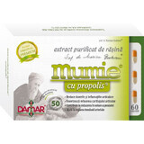 Extrait purifié de résine de momie avec propolis, 60 gélules, Damar General Trading