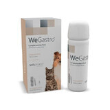 Maagsupplement in flesje met doseerspuit voor honden en katten WeGastro, 60 ml, WePharm