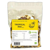 Bio fruit, noten en chocolademix Tropical, 250 g, Managis