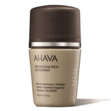 Magnesium Deodorant voor mannen Time to Energize Men, 50 ml, Ahava