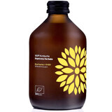 Bevanda Bio Kombucha Curcuma e Zenzero, 330 ml, Vigo