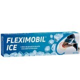 Fleximobil Eis-Gel, 45g, Blick voraus