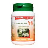 Elderflower, 40 capsules, Favisan