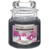 Yankee Candle Bougie parfumée midnight magnolia, 104 g