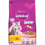 Whiskas Junior cibo secco per gatti con pollo, 300 g