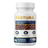 Pastura, 60 capsule, Nutrific