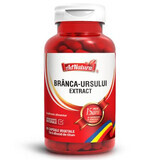 Berendruif-extract, 60 capsules, AdNatura