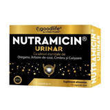 Nutramicina urinaria, 15 capsule, Cosmo Pharm