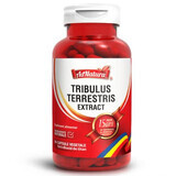 Estratto di Tribulus Terrestris, 60 capsule, AdNatura