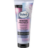 Balea Professional Șampon Winter Protect, 250 ml