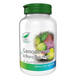 Ganoderma, Borojo en Noni, 60 capsules, Pro Natura