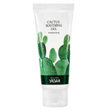 Gel apaisant pour le visage au cactus, 105 ml, Yadah