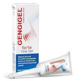 Gel gingival Gengigel Forte, 8 ml, Ricerfarma