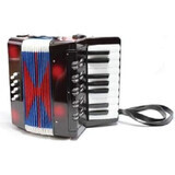 Jucarie acordeon mare, 36 luni+, NCT