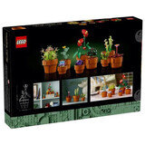 Small plants, 18 years+, 10329, Lego Icons