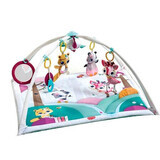 Princess Tales, Gymini Deluxe, Tiny Love speelcentrum