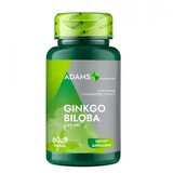 Ginkgo Biloba 240mg, 60 comprimés, Adams Vision