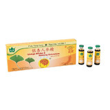 Ginkgo Biloba und Ginseng Extractum, 10 Fläschchen, Yongkang International China