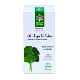 Ginkgo Biloba, 60 Kapseln, Divine Star