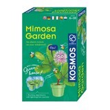 Educational set Stem Garden with Mimoze, +6 years, Kosmos