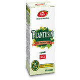 Plantusin Productive Cough, 30 capsules, Fares