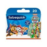 Paw Patrol babypleisters, 20 stuks, Salvequick