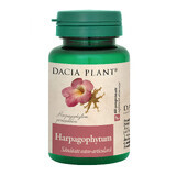 Harpagophytum, 60 tabletten, Dacia Plant