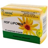 Hof Lipomin, 40 tabletten, Hofigal