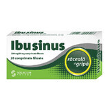 Ibusinus