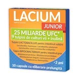 Lacium JUNIOR 25 miliarde UFC, 10 capsule, Zdrovit