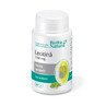 Lecithine 1200mg, 30 capsules, Rotta Natura