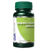 Magneziu marin japonez, 60 capsule, DVR Pharm